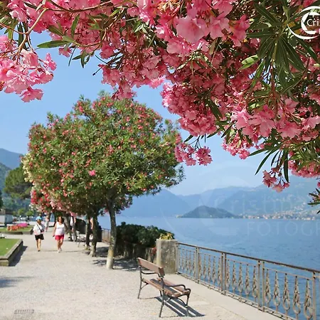 Dreams Apt, Pool, With Private Garden, Near ベッラージョ