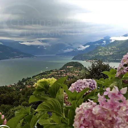 Appartement Dreams Apt, Pool, With Private Garden, Near