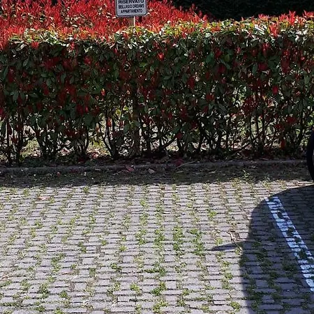 Dreams Apt, Pool, With Private Garden, Near